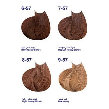 کاتالوگ رنگ موی عسلی مارال
